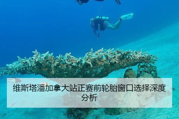 维斯塔潘加拿大站正赛前轮胎窗口选择深度分析