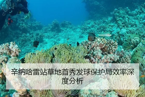 辛纳哈雷站草地首秀发球保护局效率深度分析